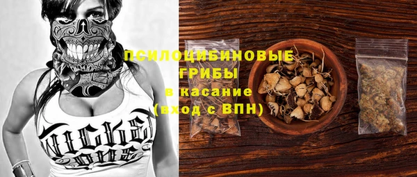 бошки Алексеевка