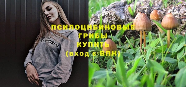 ALPHA PVP Алзамай