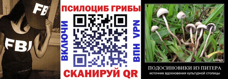 Галлюциногенные грибы Cubensis  Апшеронск 